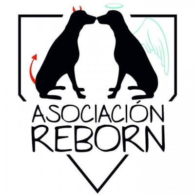 Associació Reborn