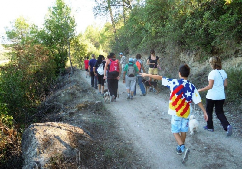 Foto 10º Caminada Popular Refugi El Tuc Diumenge 18 de Març del 2018