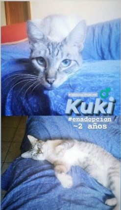 Foto KUKI