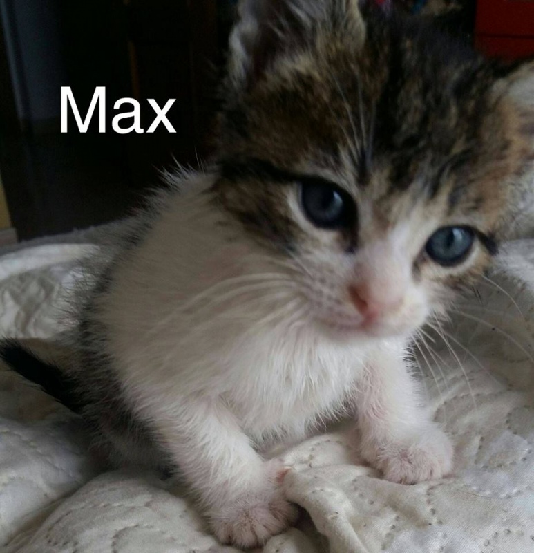 Foto Max