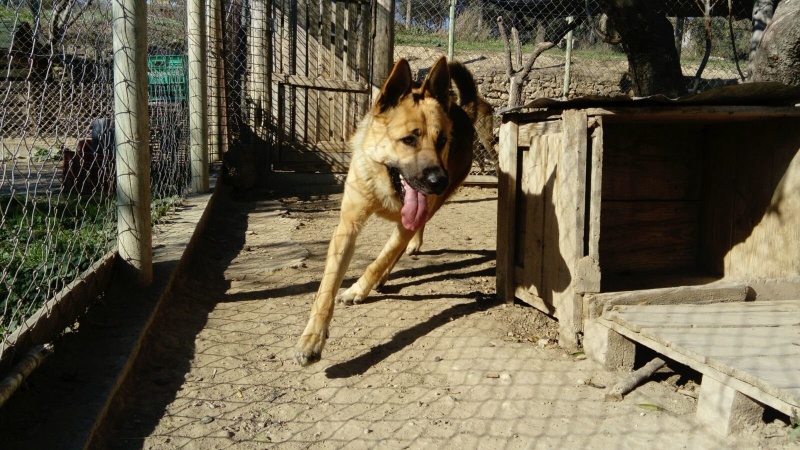 Foto ROCKO